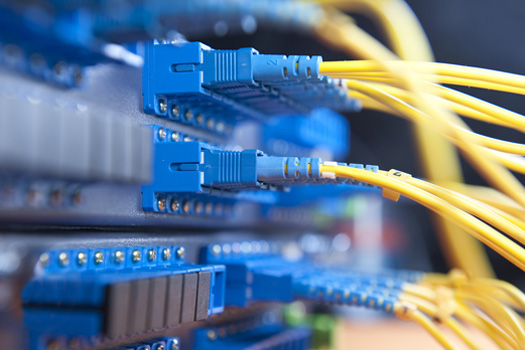 Fiber network server